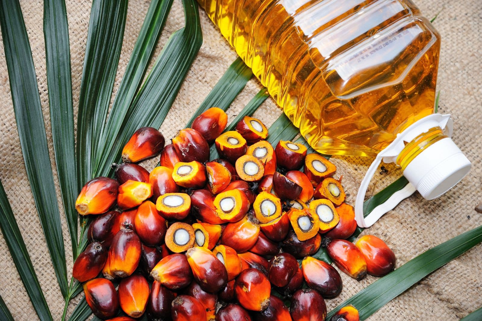 Crude Palm Oil